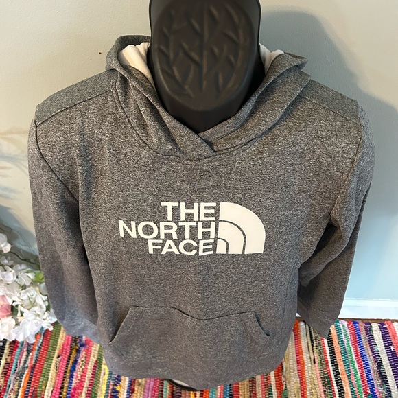 NEW The North Face Hoodie Sweatshirt Gray Medium - Picture 4 of 6